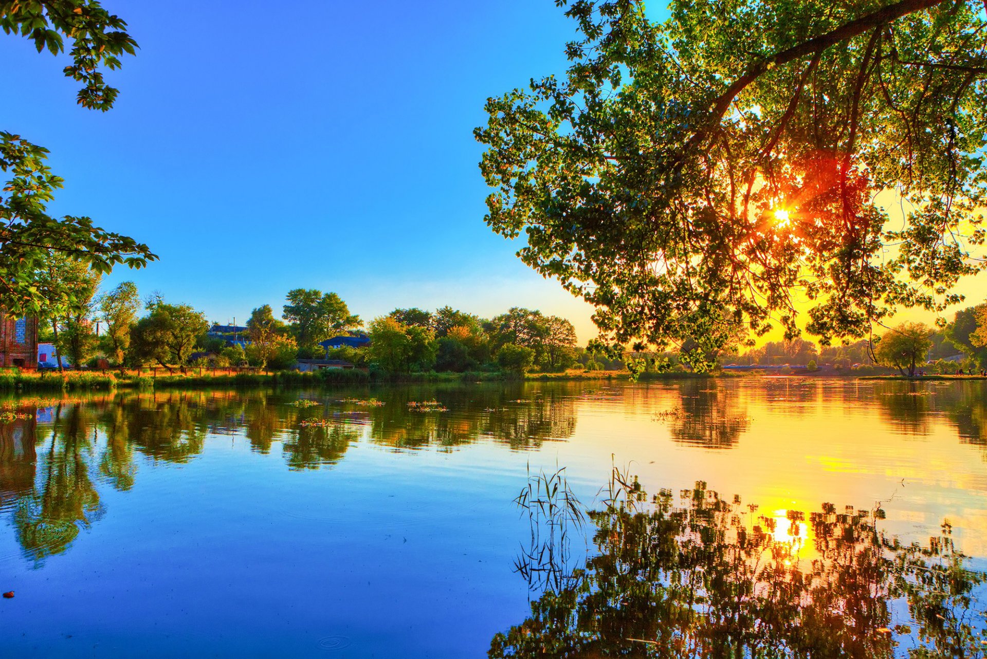 fiume acqua superficie riflessione foresta alberi natura riva sole luce raggi rami primavera caldo blu cielo