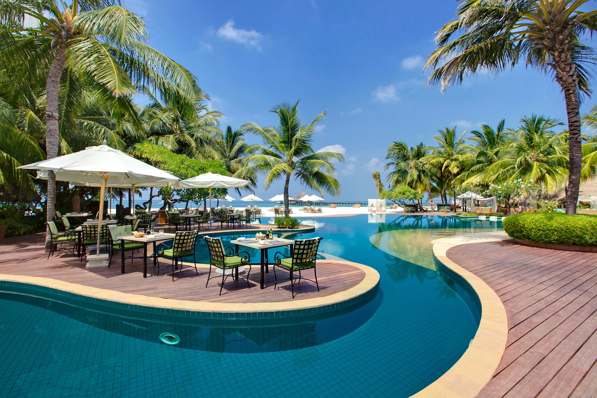 maldives table pool deck chairs palm trees trees nature