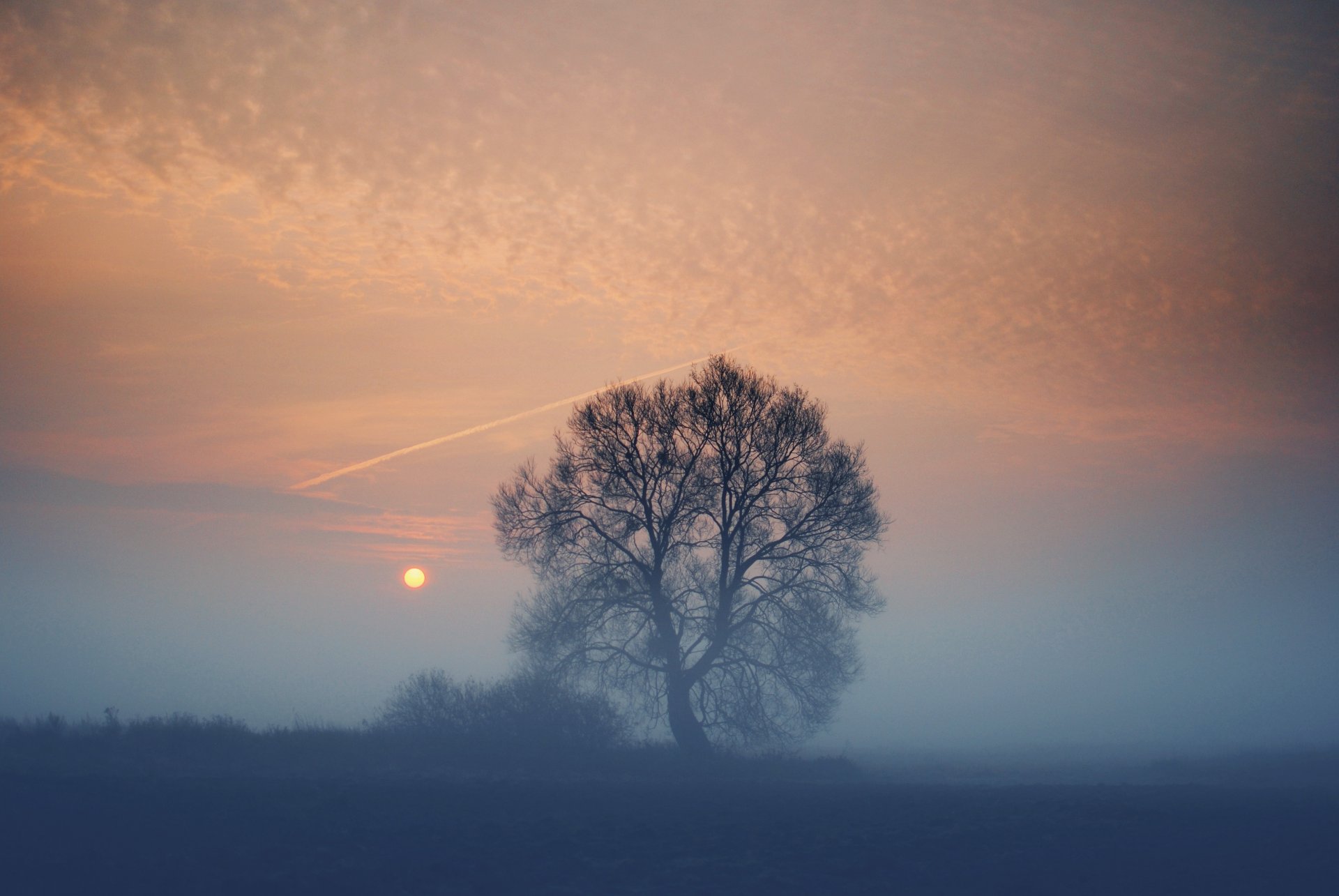 abend nebel feld baum sonne sonnenuntergang