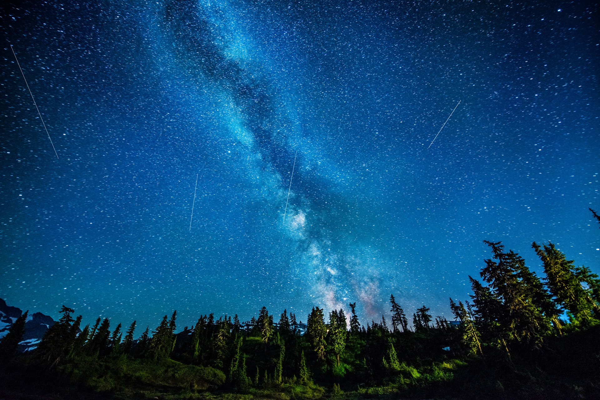 notte stelle via lattea foresta