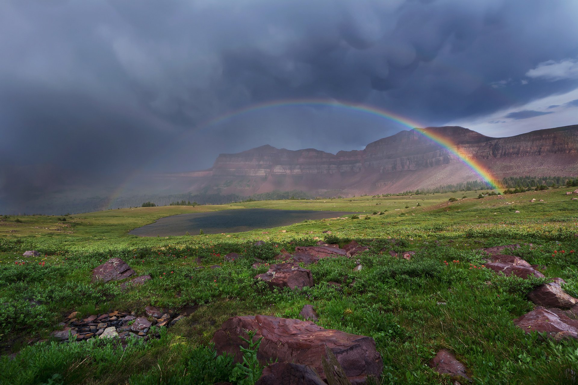 cielo nuvole nuvole arcobaleno montagne lago erba fiori pietre