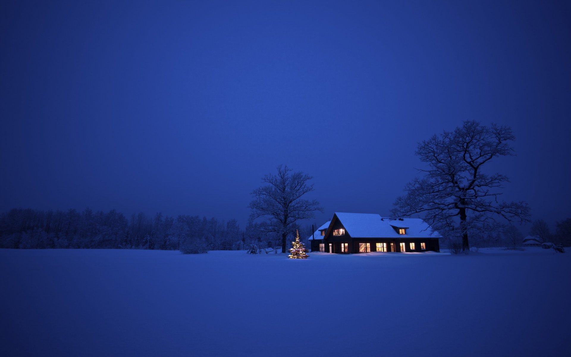 nature landscape snow tree winter house night christmas new year