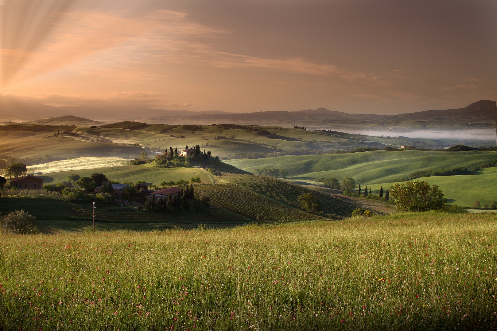 toscana campos verano cielo