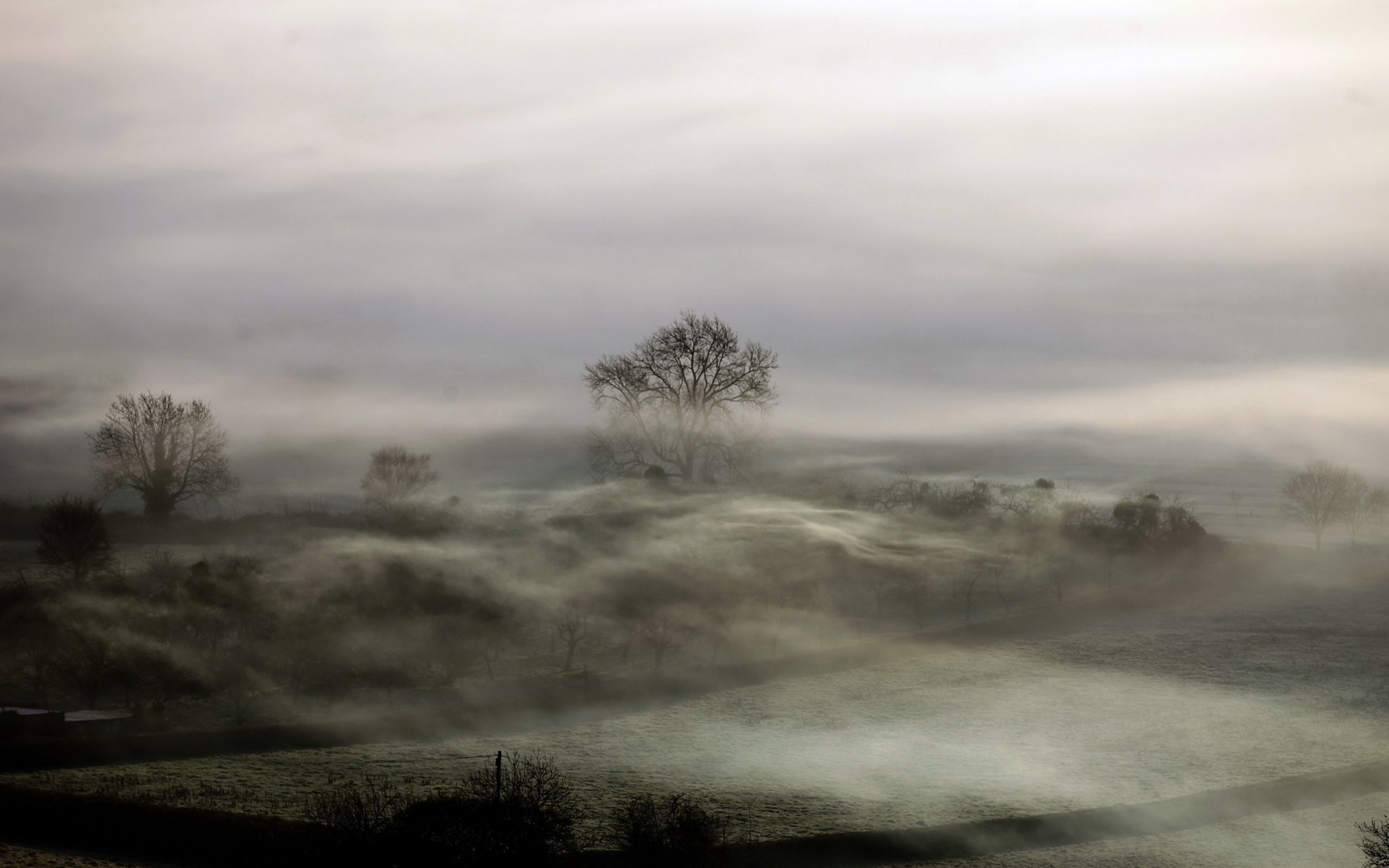 champ brouillard paysage nuit