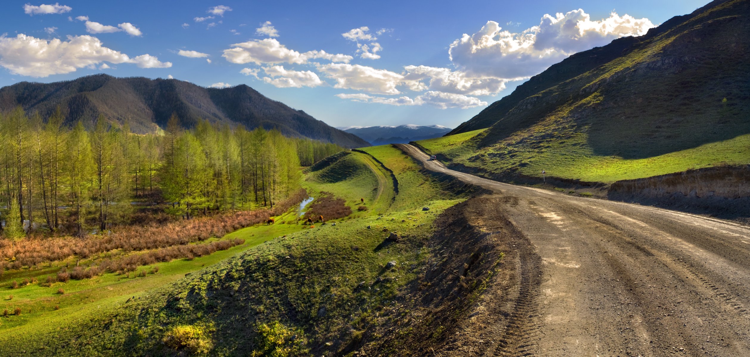 montaña altai carretera paisaje perspectiva hierba verde viaje de mobiba banturismo baño móvil mobiba