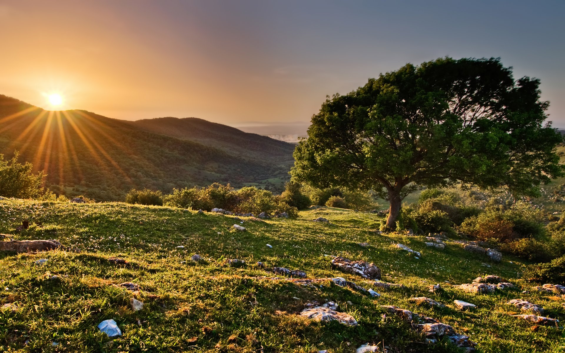 hills tree sunset sun rays spring reserve italy