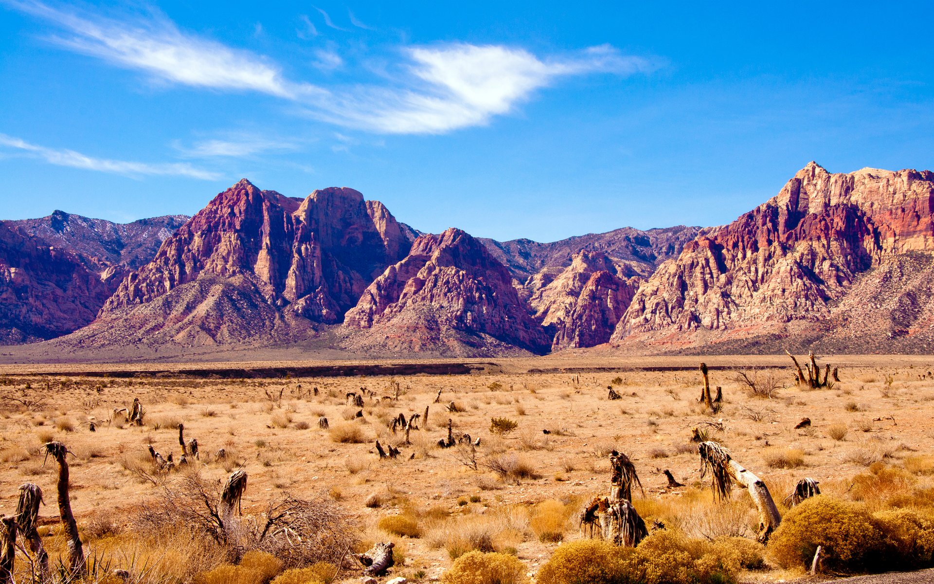 невада пустыня скалы горы red rock canyon