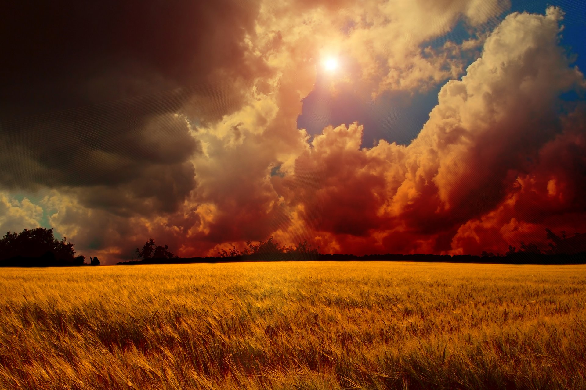 puesta de sol cielo nubes sol árboles campo trigo