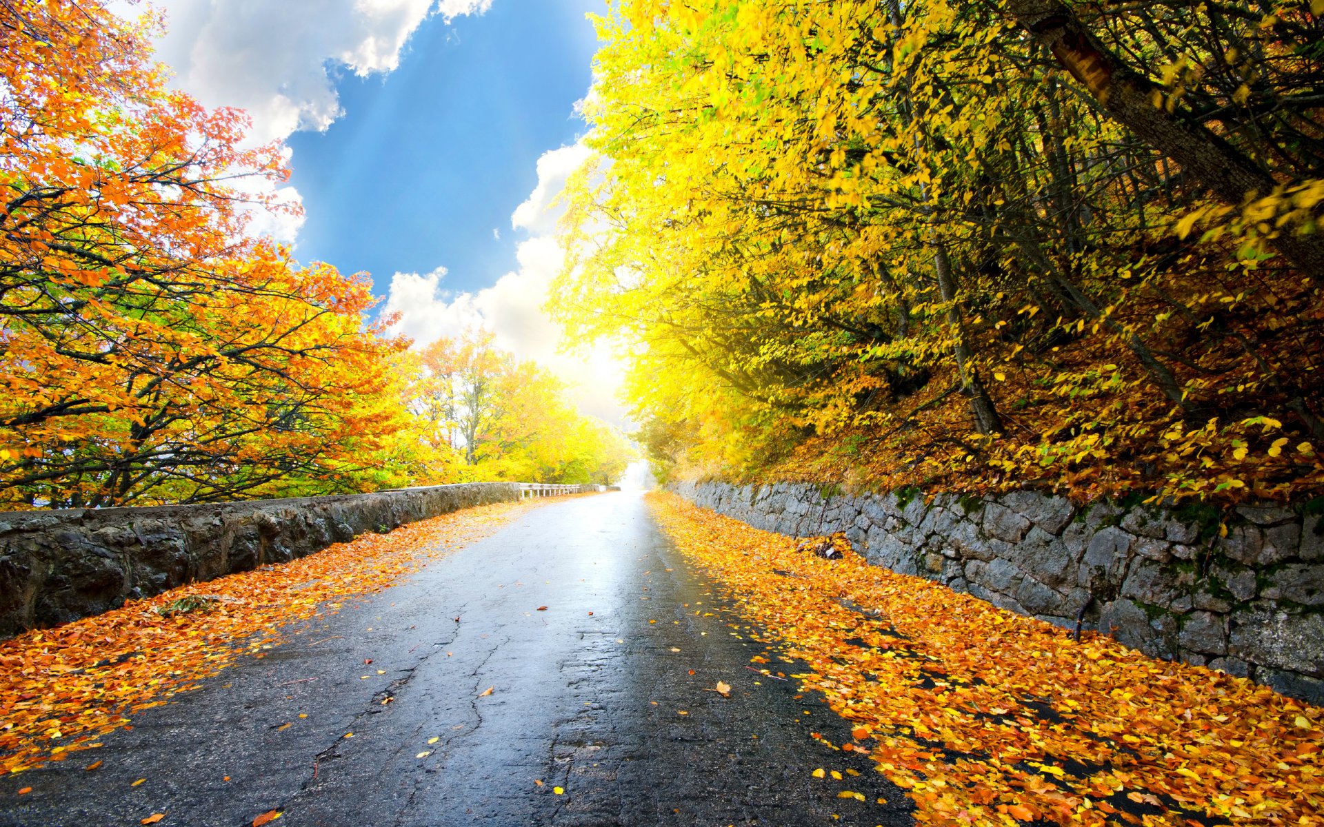 naturaleza paisaje cielo nubes camino árboles bosque hojas otoño