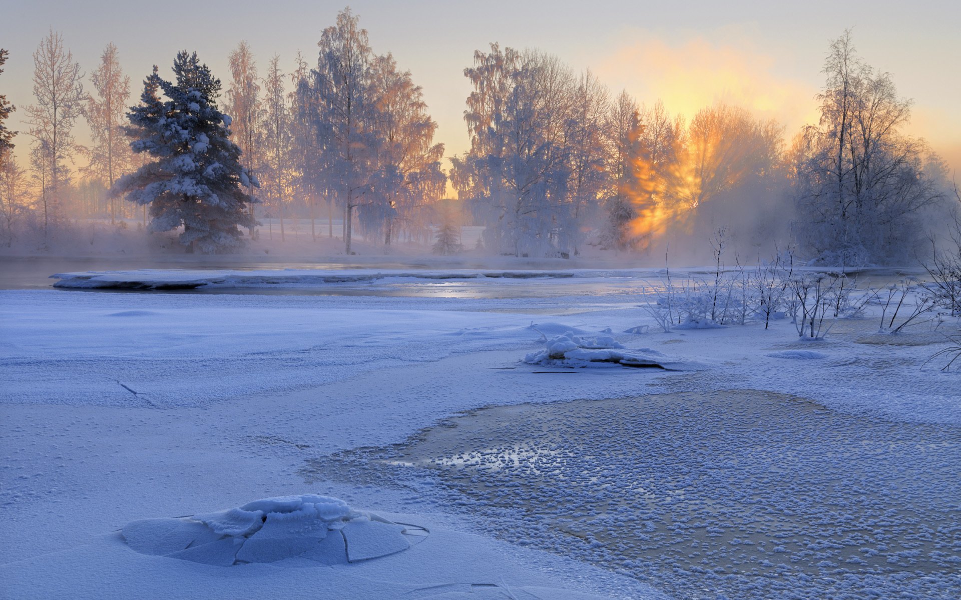 fiume voxnan hälsingland svezia inverno fiume alberi neve natura alba mattina