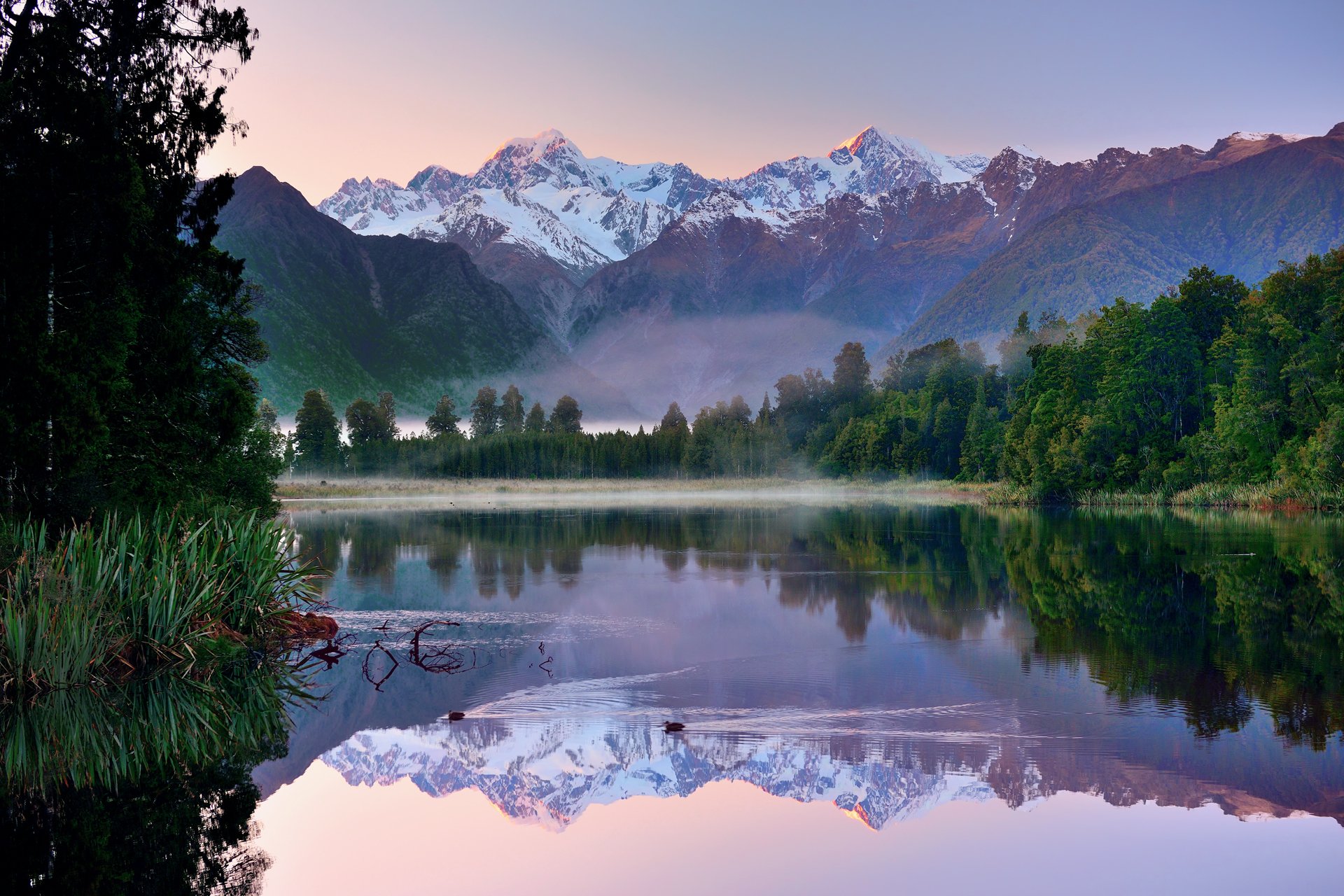 nuova zelanda montagne cielo lago foresta riflessioni anatre