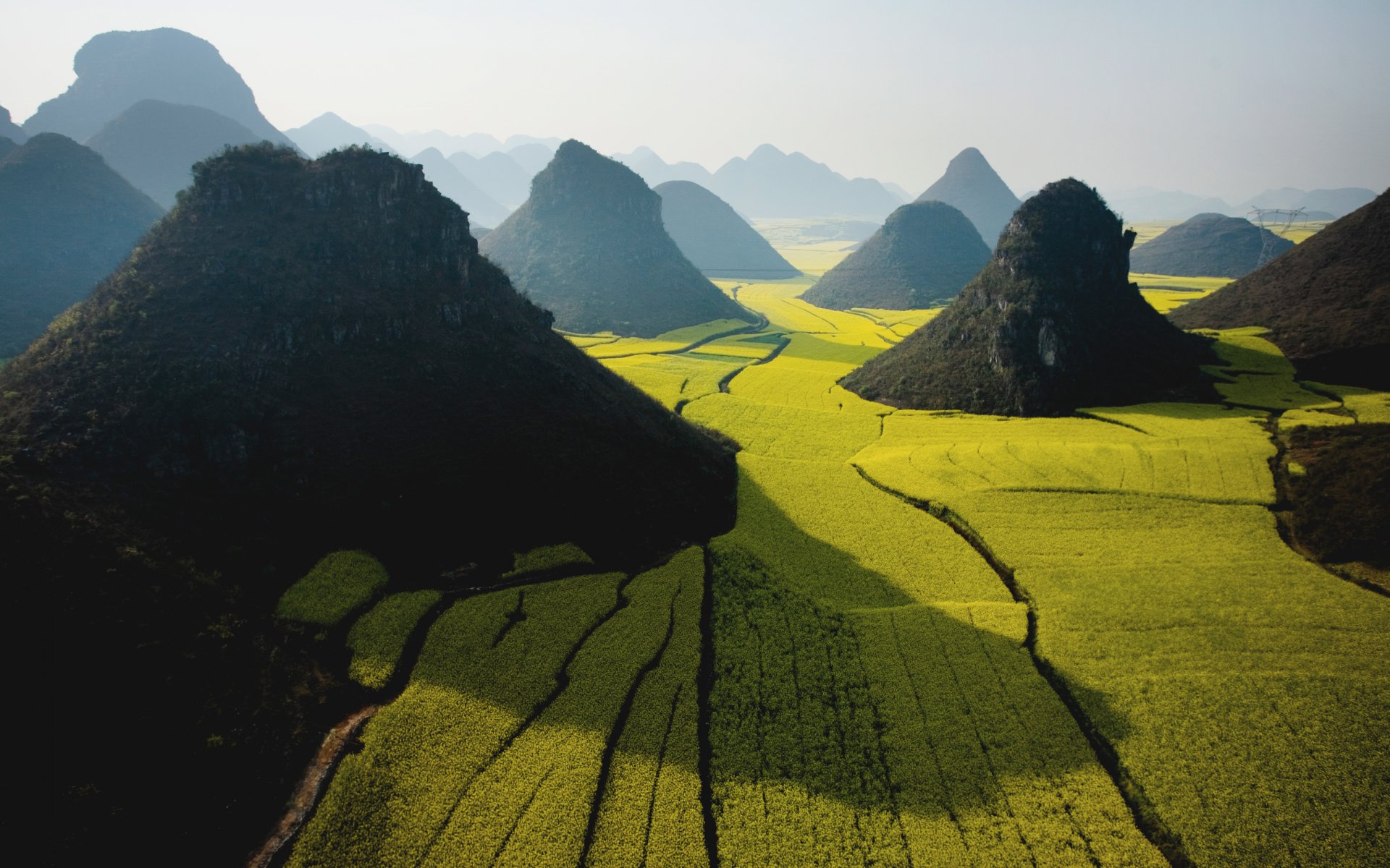 green field wide apple mountain sky