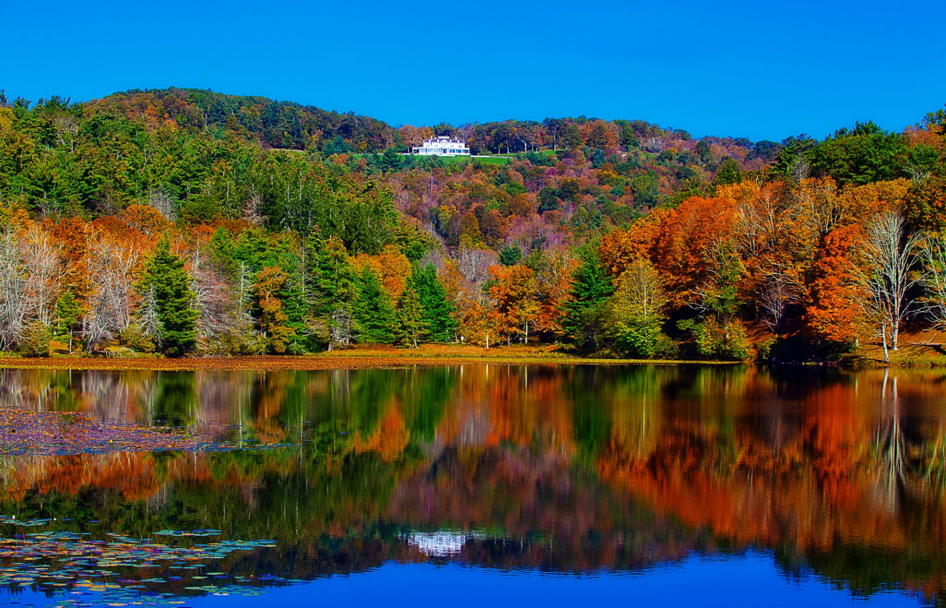 landscape river lake forest trees house mansion autumn reflection