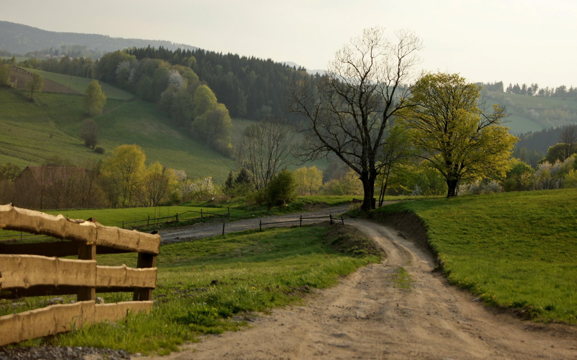 camino cerca paisaje