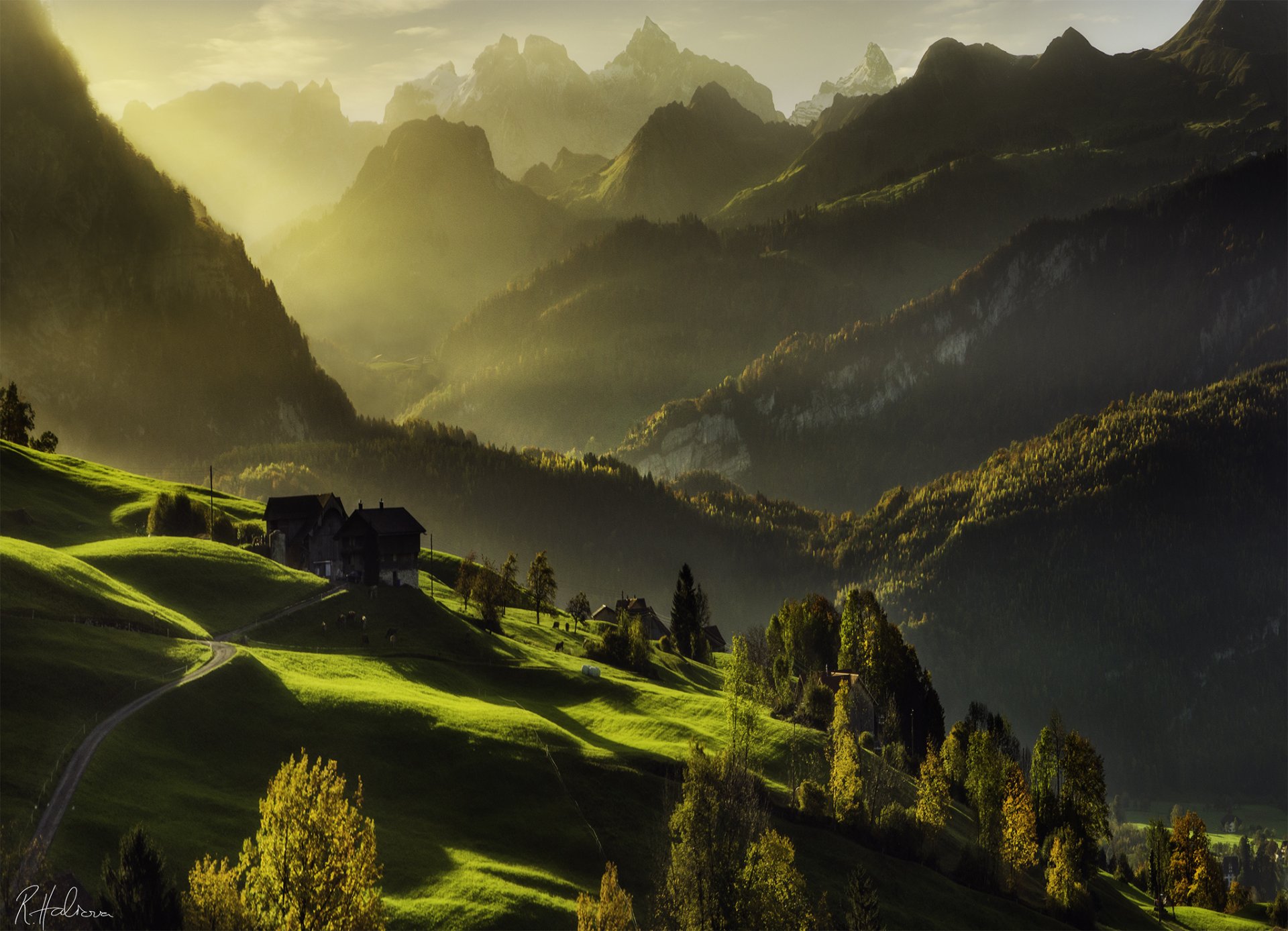 berge licht zuhause wald