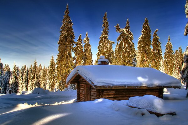 A hut with a gable snow-covered roof