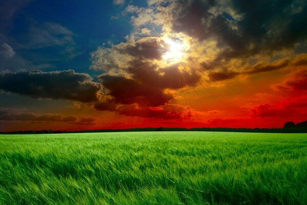 Kontrastreiche Landschaft. Roter Himmel mit Wolken und grünes Feld