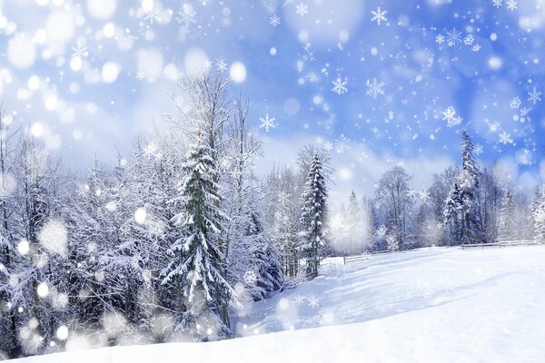 Paesaggio di alberi nella neve in inverno