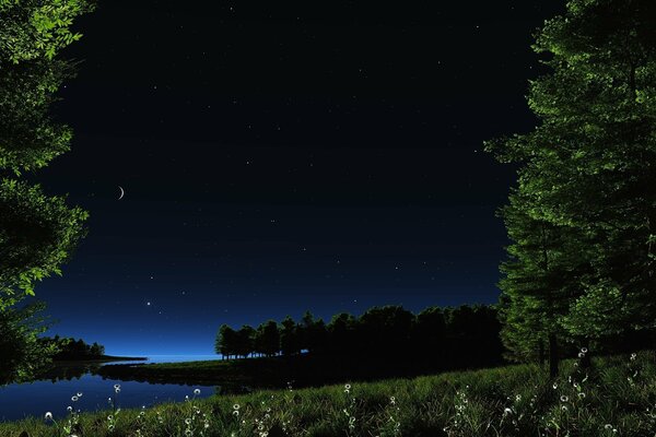 Cielo notturno sopra il lago