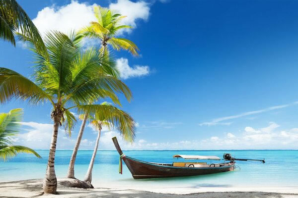 Tropical landscape - a longboat moored under palm trees