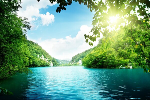 Paysage. Les rayons du soleil à travers les feuilles des arbres tombent sur le lac