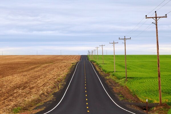 The road between the yellow and green fields