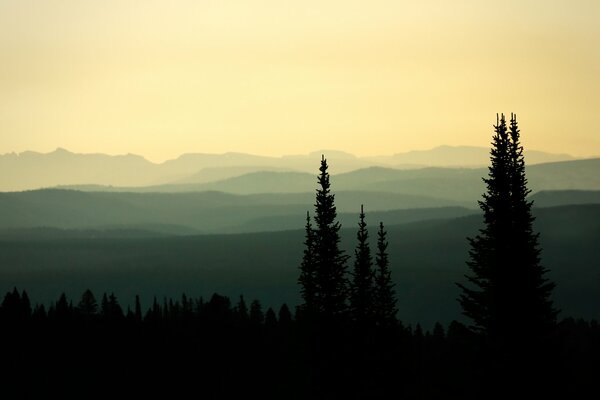 Forêt et montagnes au crépuscule brumeux