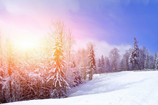 Frosty morning in the mountains