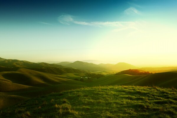 The grass of the California hills in the sunset light