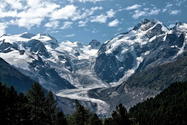 Schneebedeckte Berge und Wald unter Wolken