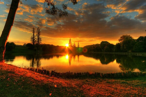 Lake with trees in the summer sunset