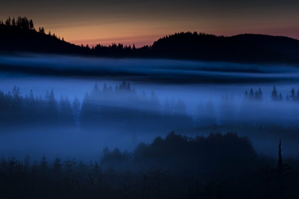 Nachtansicht des Feldes im Nebel