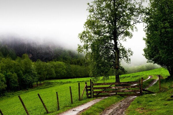 Nel campo c è una recinzione e un cancello