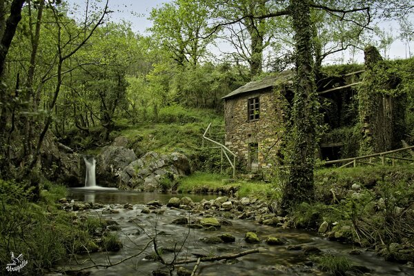 Spanish landscape with river, waterfall and mysterious forest