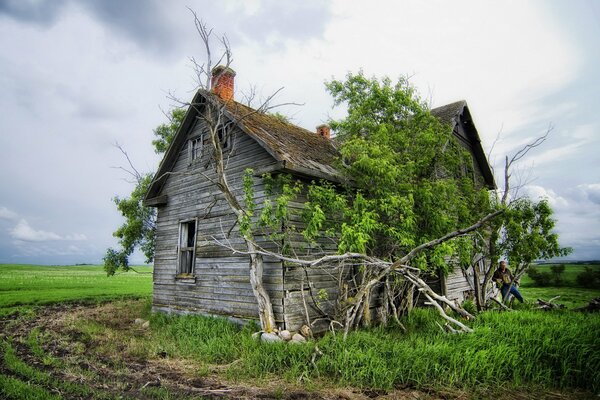 Vieille maison abandonnée sur fond de champ