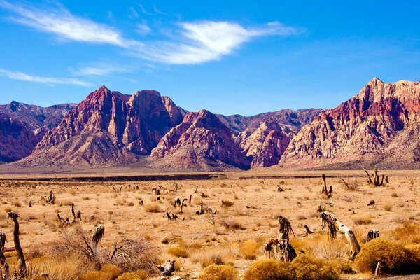 Roches dans le désert du Nevada sous le soleil