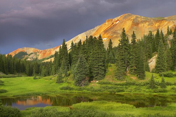 Mountain peaks surrounded by majestic fir trees