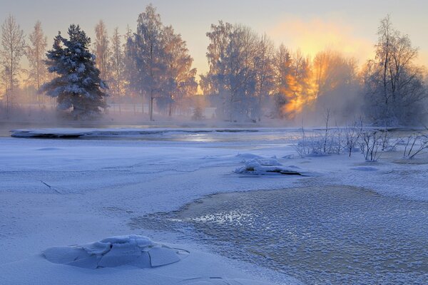 Naturaleza invernal. Amanecer en Suecia