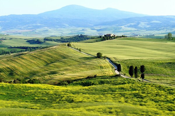 Hills lying in Tuscany. Italy