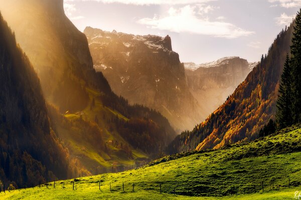 Valle verde ai piedi delle montagne