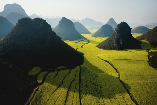 Champ vert avec des collines sur un ciel brumeux