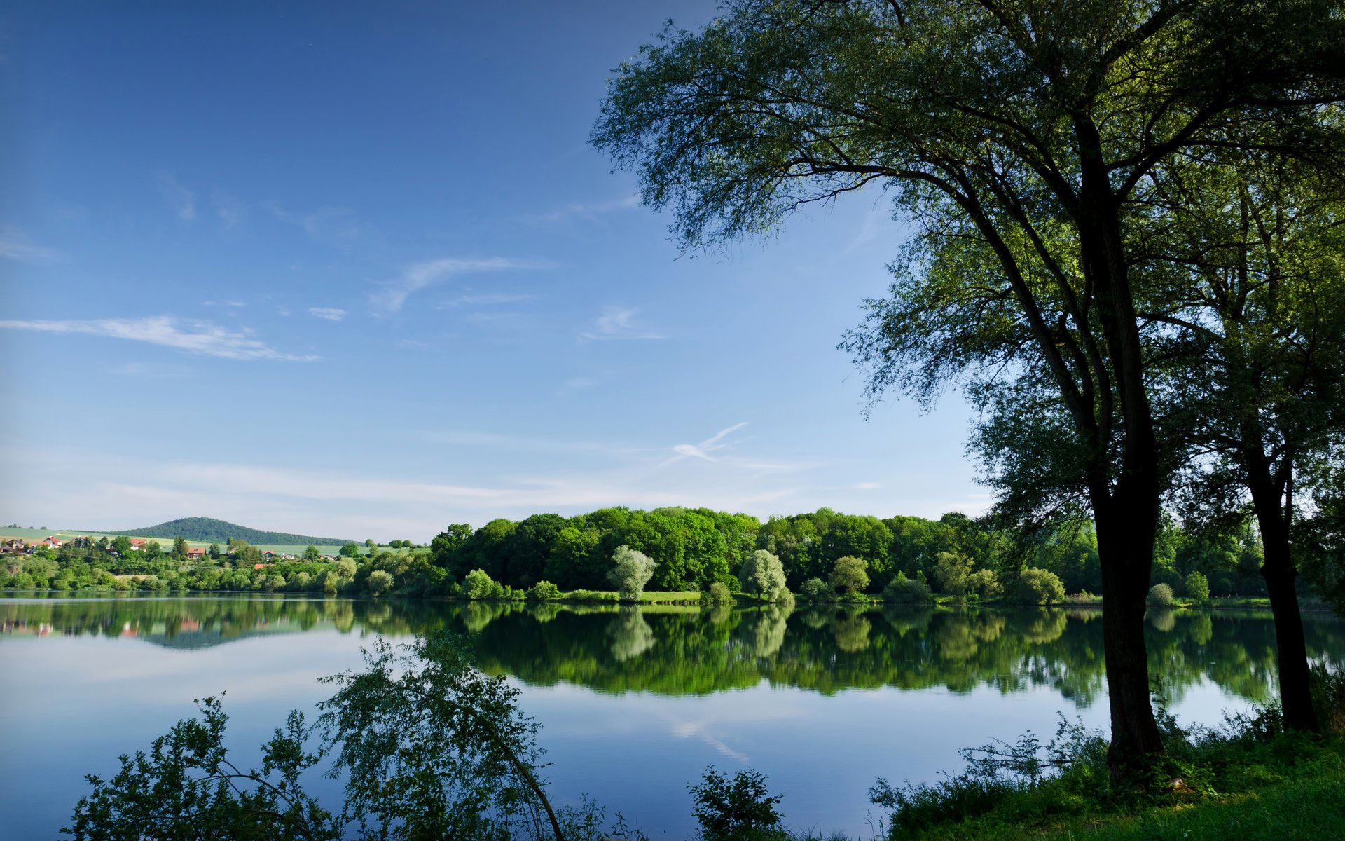 sommer bäume teich fluss see reflexion