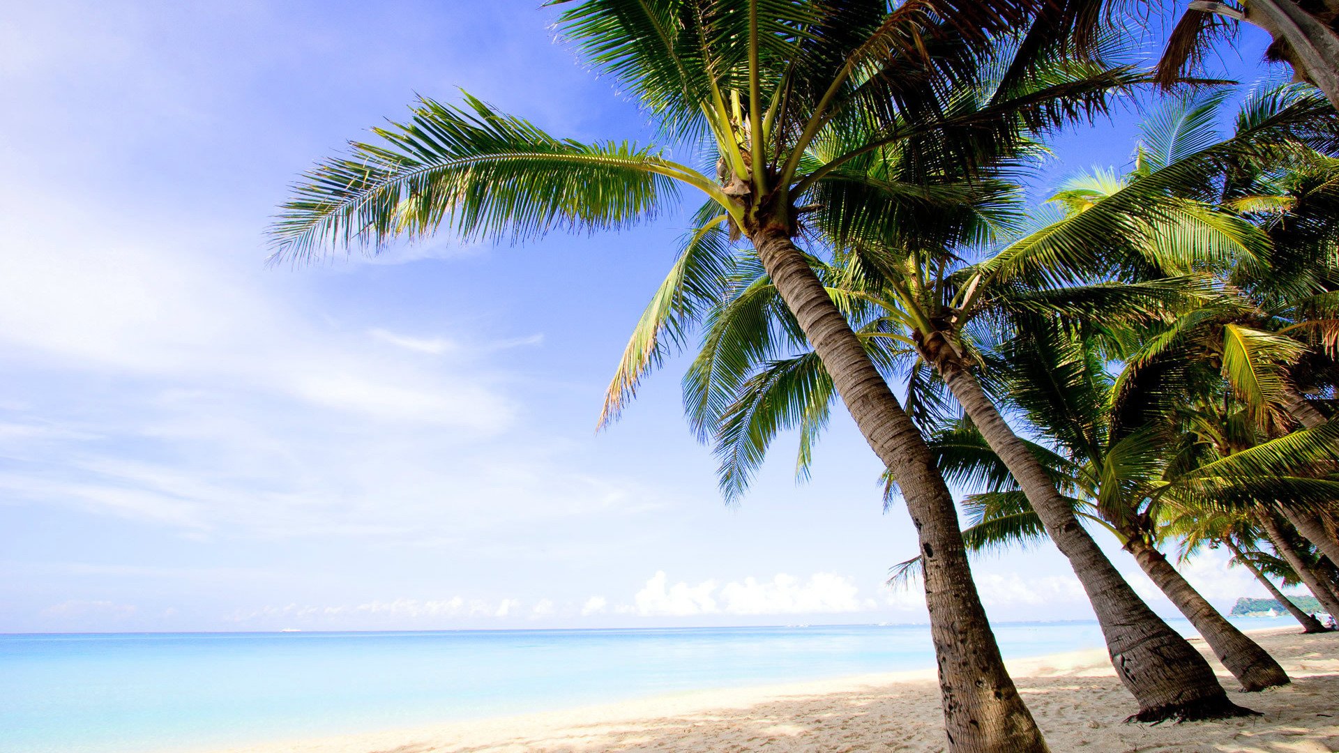 paysage nature palmiers île océan eau plage sable côte ciel nuages ombre 1920x1080