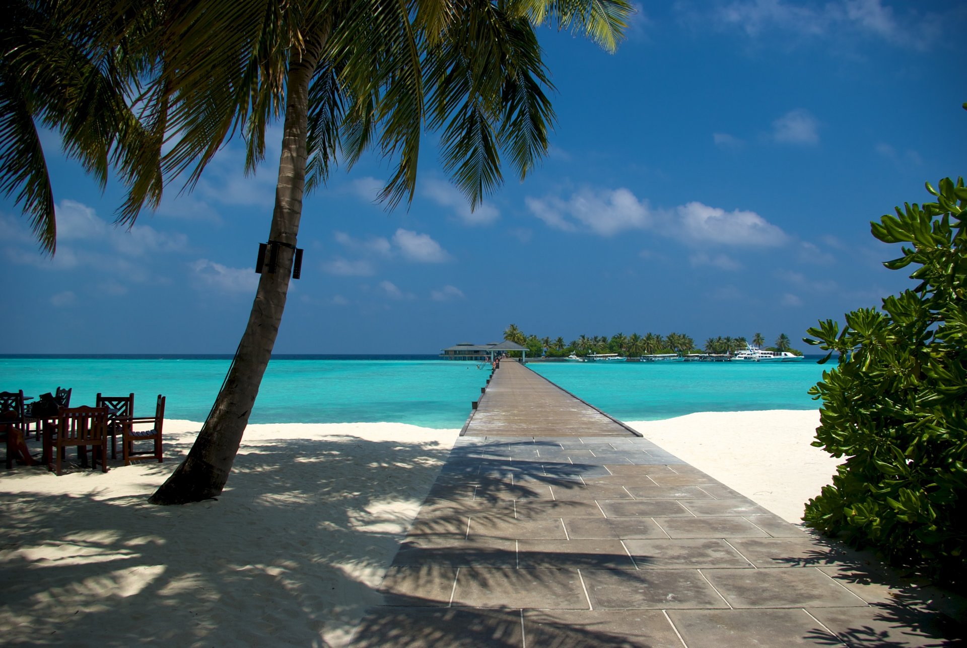 malediven strand ozean sand sommer palmen