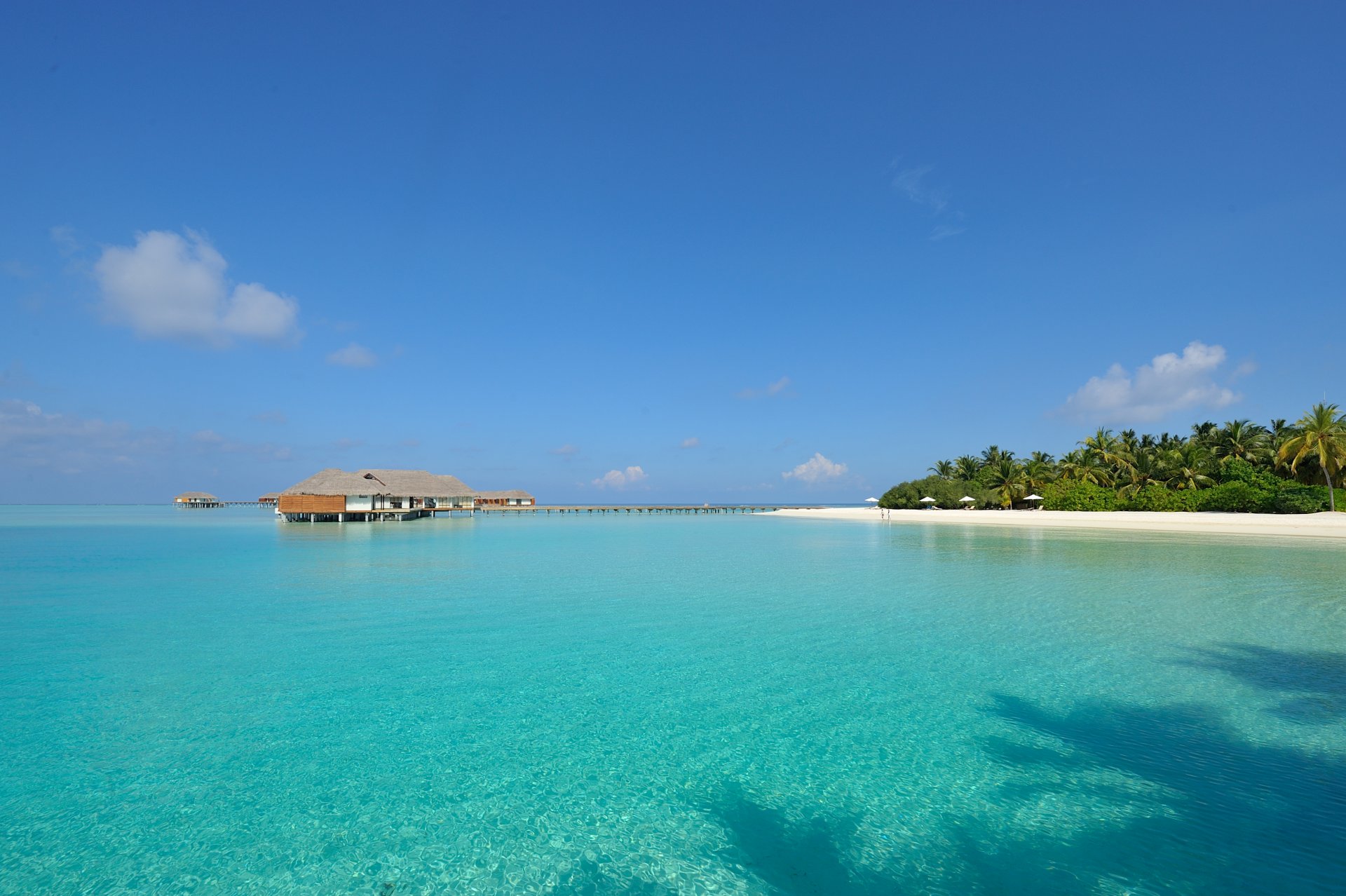 maldive seychelles isola sabbia bianca acqua limpida