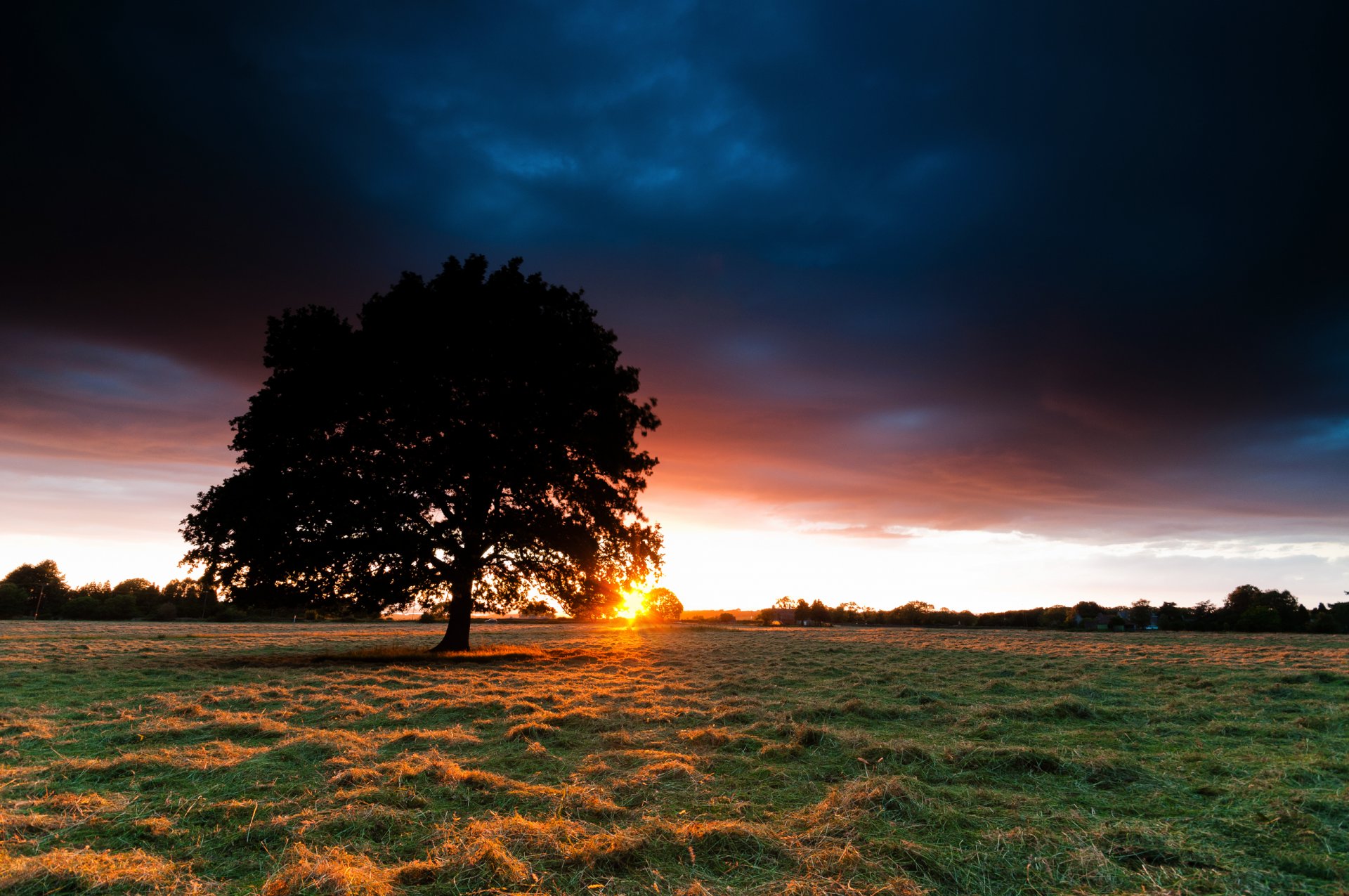 champ coucher de soleil arbre soleil foin herbe ciel