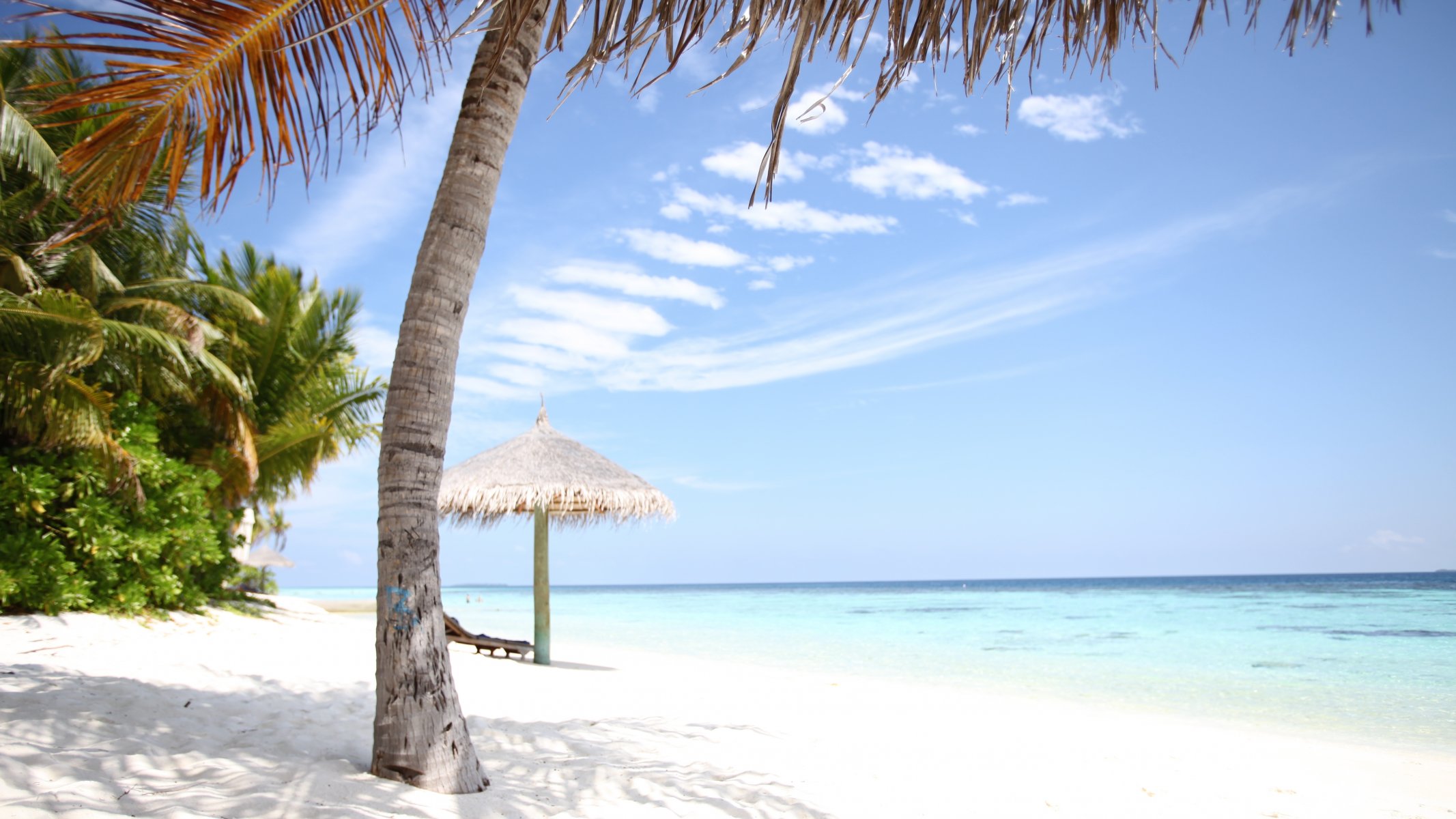 chaise longue relax sabbia bianca maldive seychelles isola