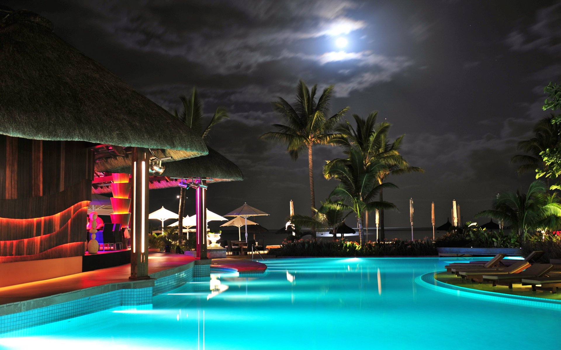 agua piscina palma cielo luna luz de fondo