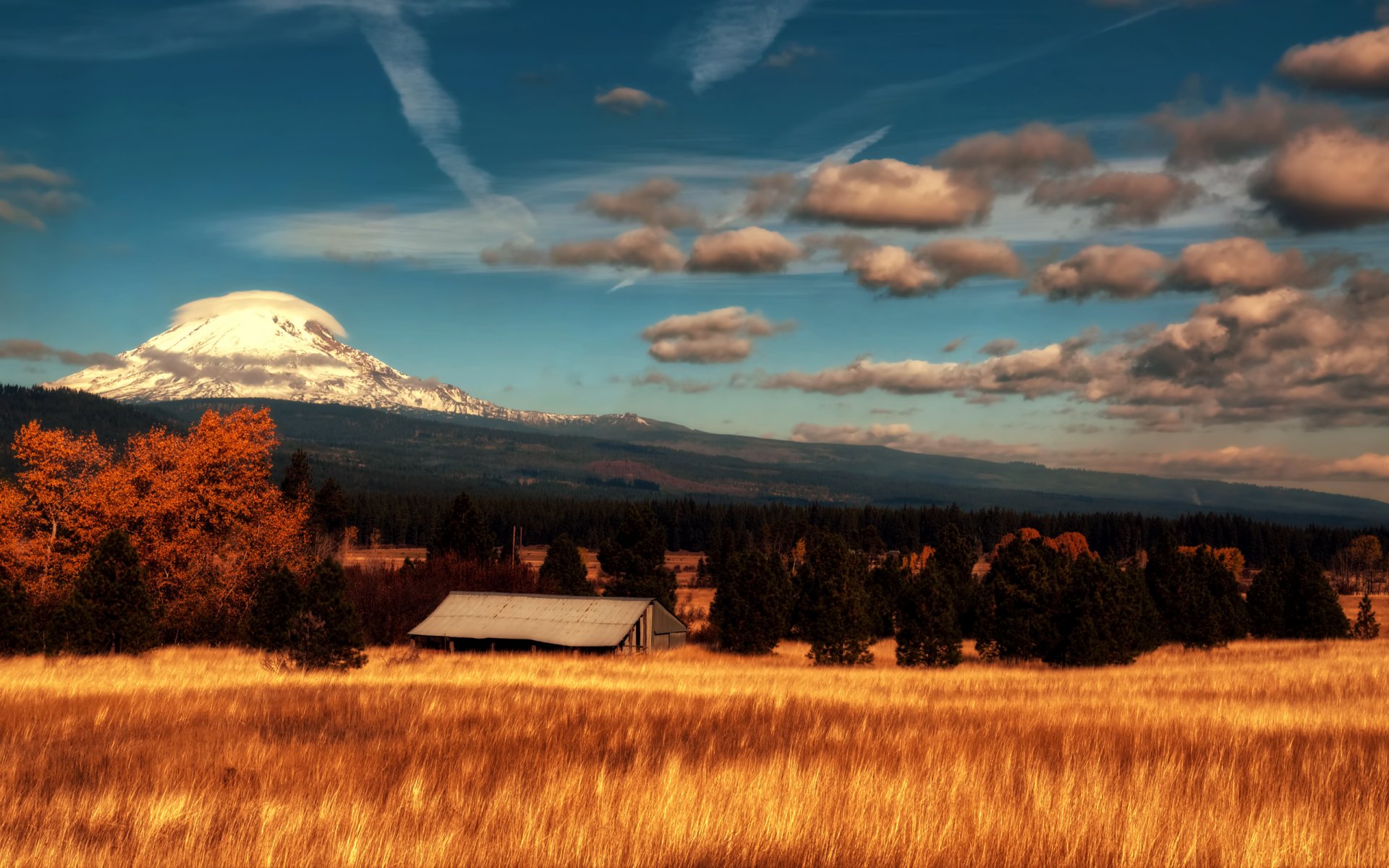 the field tree mountain house sky clouds night