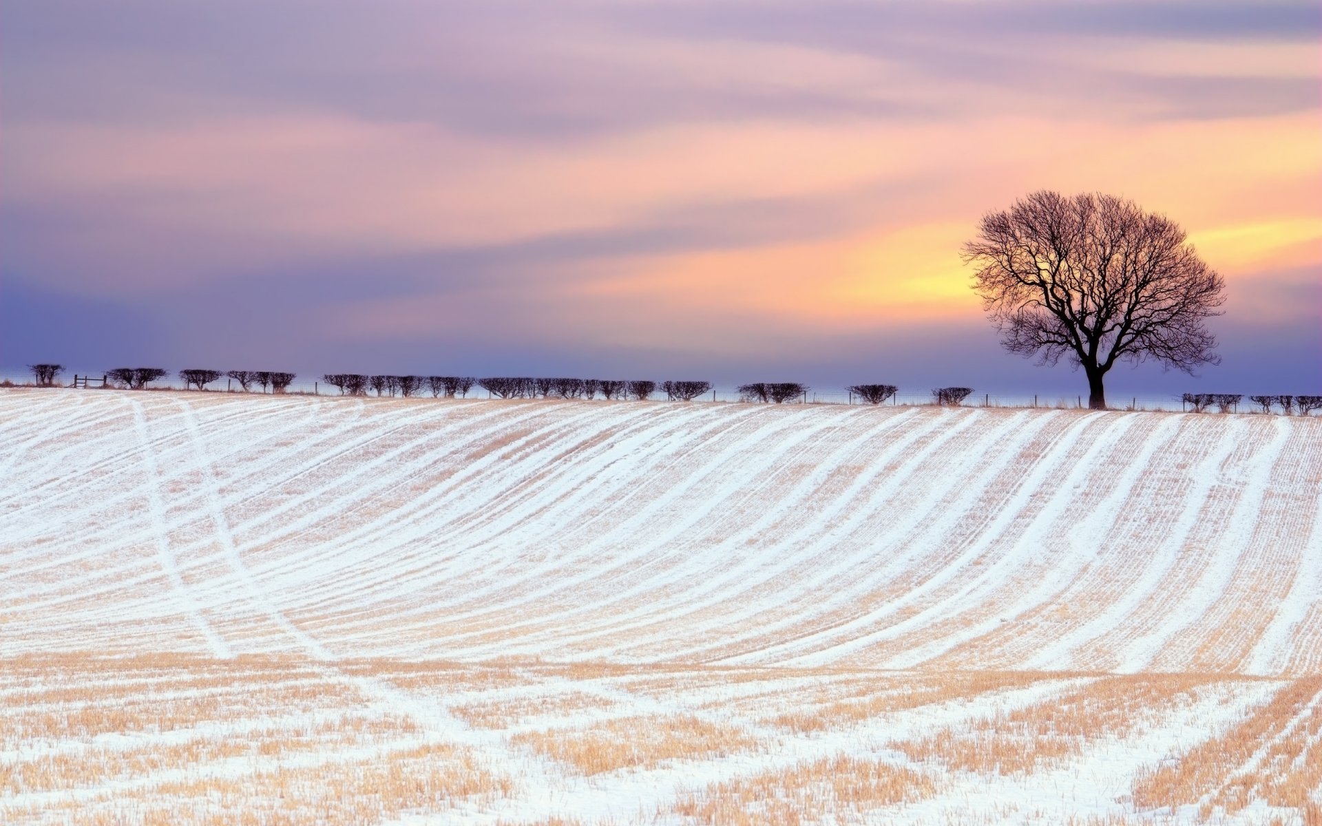 invierno campo nieve árbol arbustos cielo nubes pintura